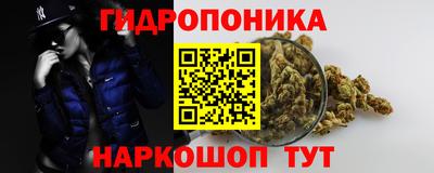 твердый Краснознаменск
