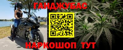 твердый Краснознаменск
